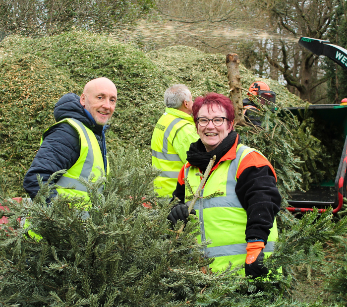 Website article images (6).png